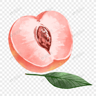 WWW,88coco·COM网站APPAPP应用