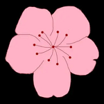快播appAPP应用