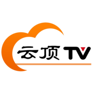 老司机“在线开车”网APP应用
