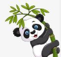 抖音9.1APP应用