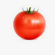 罗达影视app正版下载最新版APP应用